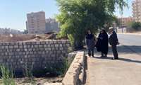 مقابله با پشه آئدس تنها با انجام اقدامات مؤثر و مسئولانه محقق خواهد شد